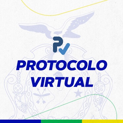PROTOCOLO VIRTUAL