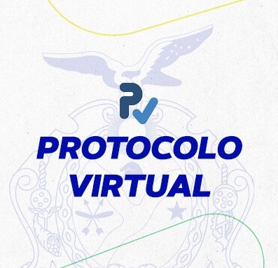 PROTOCOLO VIRTUAL